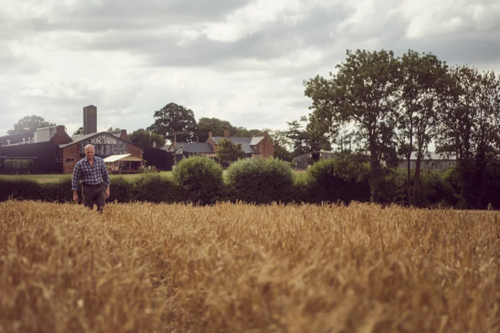 field of barley