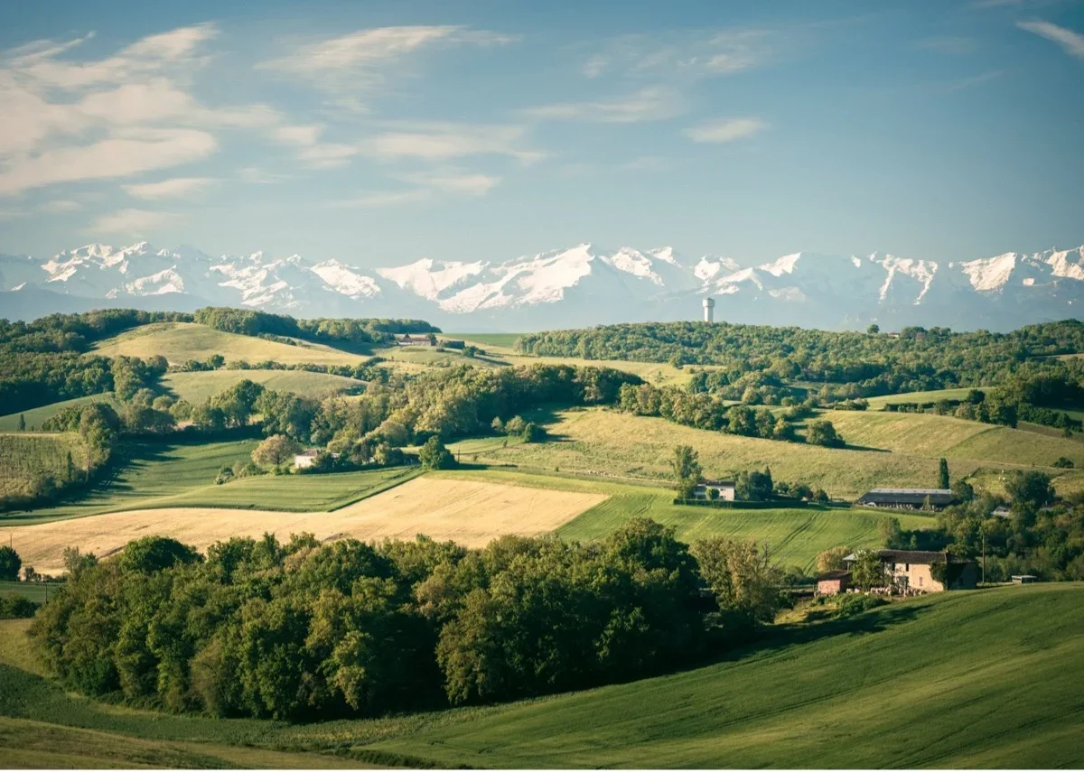Why Do We Still Know Nothing About Armagnac?