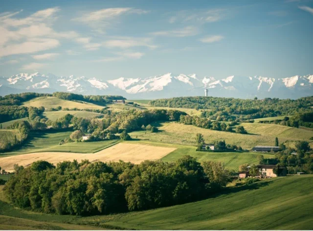 Why Do We Still Know Nothing About Armagnac?