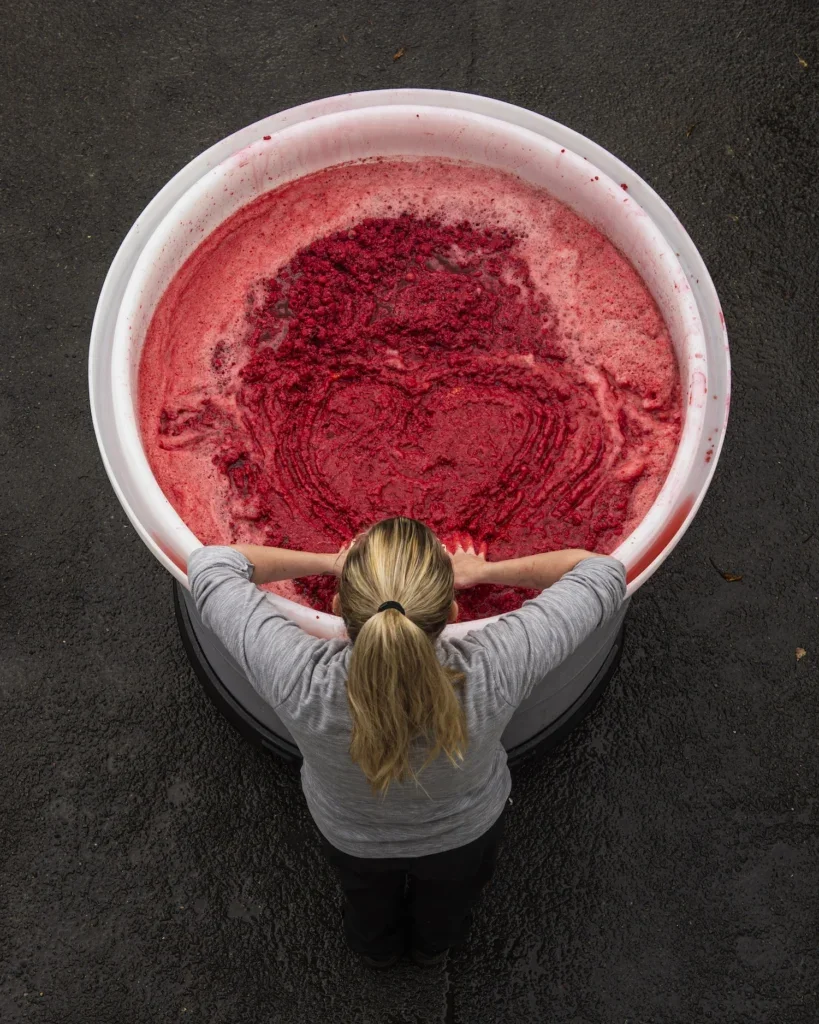 Raspberries during distillation