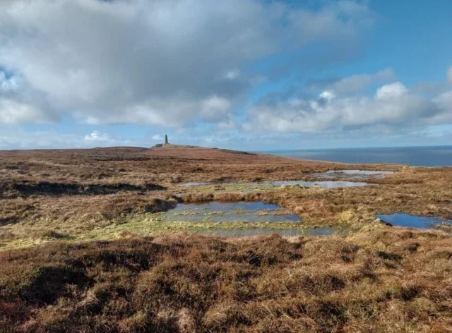 Major Whisky Makers Join Forces to Restore Islay’s Peatland Major Whisky Makers Join Forces to Restore Islay’s Peatland