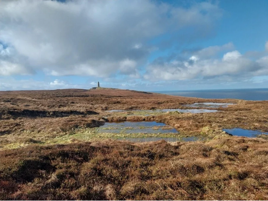 Major Whisky Makers Join Forces to Restore Islay’s Peatland