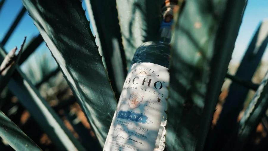 Tequila Ocho Launches New Series Celebrating Terroir Vintages