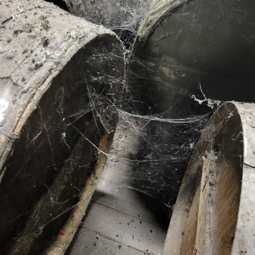 Splatters, Squelches, and Scurrying: An Ode to Dirty Distilleries