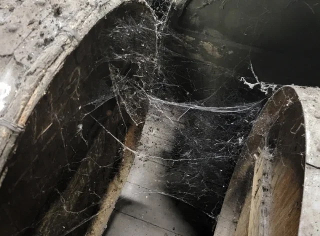 Splatters, Squelches, and Scurrying: An Ode to Dirty Distilleries