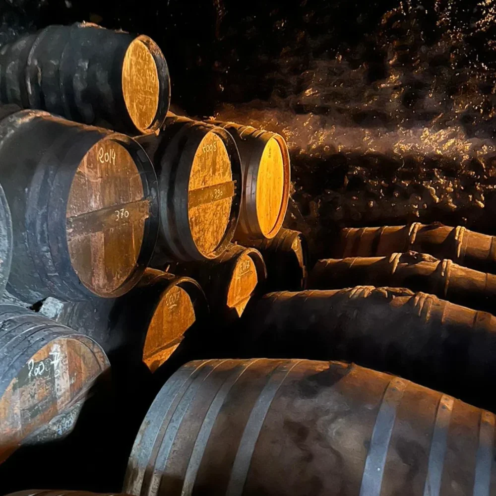 The Seven Best Single-Estate Cognacs to Try Right Now