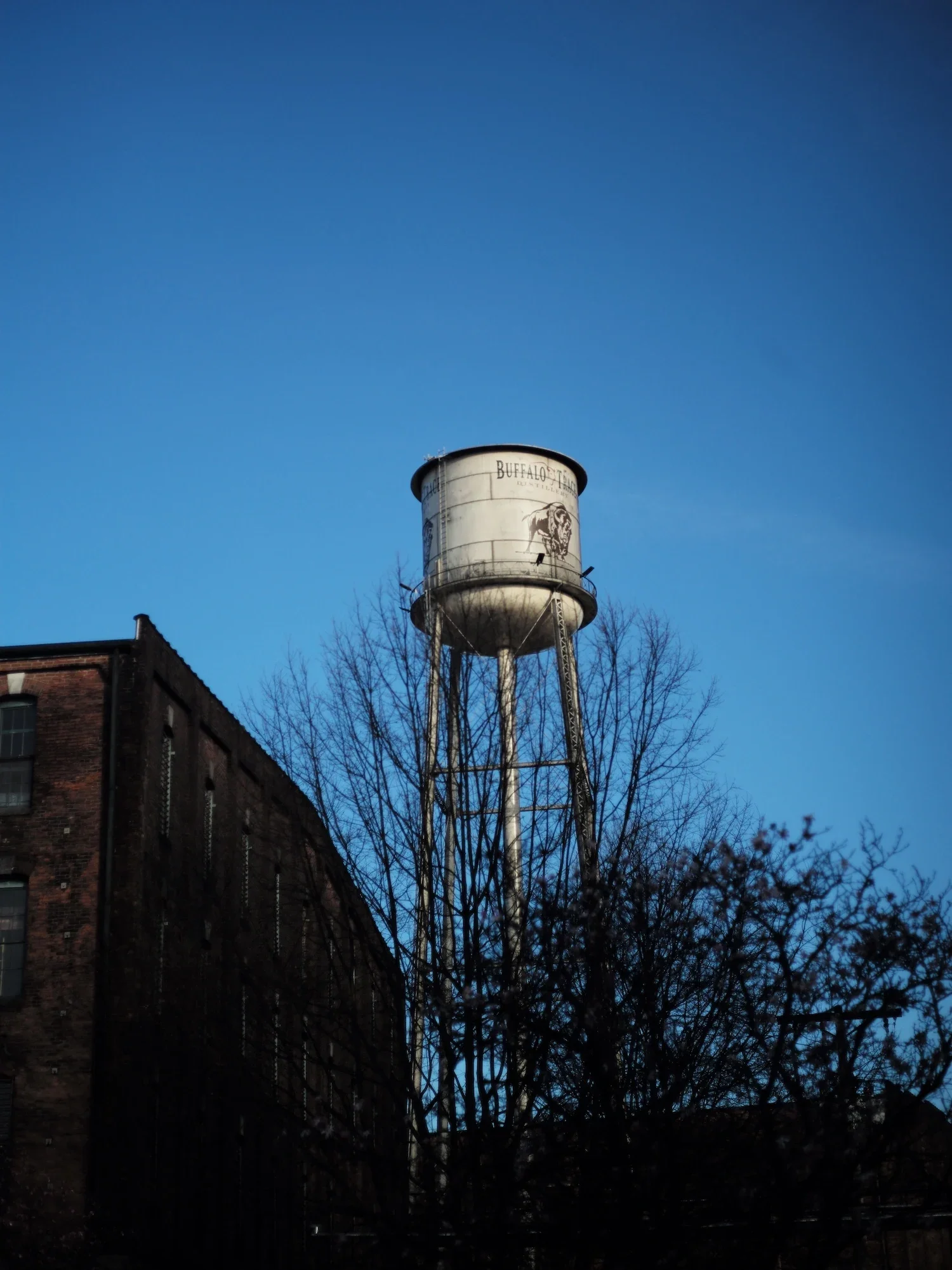 water tower in front of a blue sky
